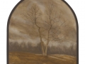 Birch at Quabbin