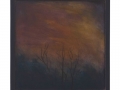 Twilight Tree Tops